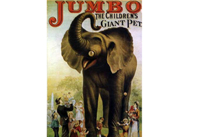 Jumbo Visits Toledo! Photo